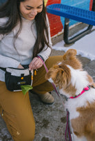 Ollydog Backcountry Day Bag, Bluff